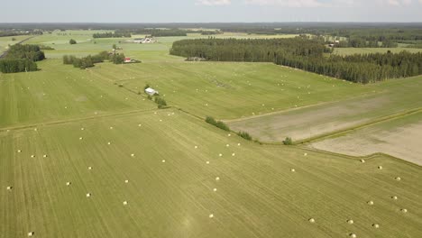 Hohe-Luftsicht-Auf-Runde-Heuballen-Auf-Einer-Großen-Wiese-Mit-Blauem-Himmel,-Vereinzelten-Wolken-Und-Waldstücken-Im-Hintergrund