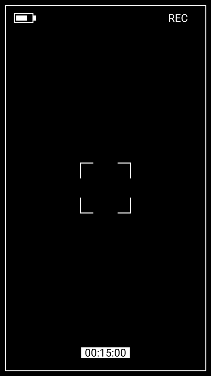 Digital Camera Viewfinder Interface Recording Overlay