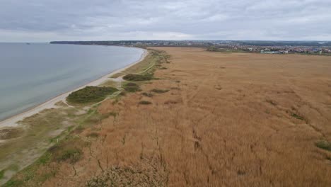 Toma-Aérea-De-La-Playa-Y-Un-Campo-De-Hierba-Pantanosa-En-Rewa,-Polonia