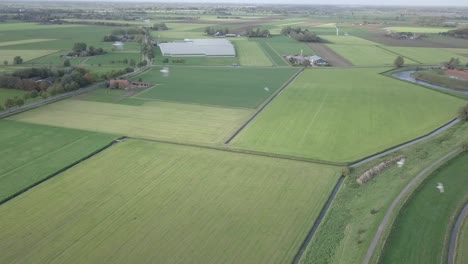drone-shot-of-the-beautiful-farm-fields-and-flying-wild-birds-through-the-frame