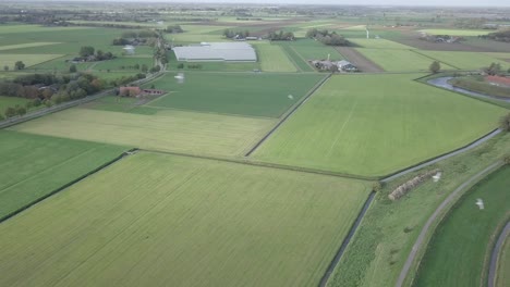 drone shot of the beautiful farm fields and flying wild birds through the frame