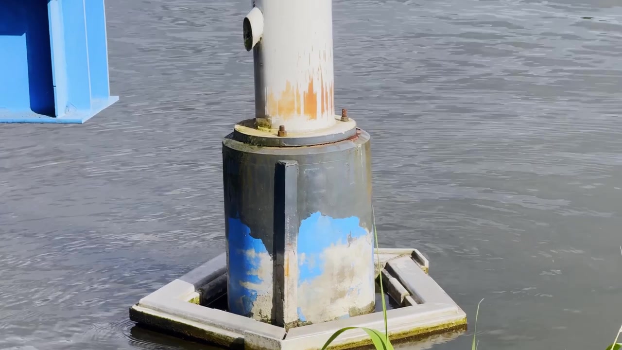 Primo piano di una colonna di supporto cilindrica deteriorata circondata da una struttura galleggiante quadrata in acqua calma, che mostra vernice blu scrostata, ruggine, alghe e canne sul bordo.
