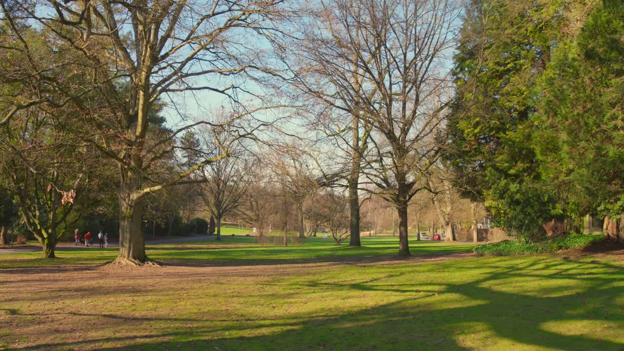 árboles sin hojas y árboles de hoja perenne en los jardines del parque en la luz del sol de otoño