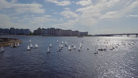 yachts sailing in a city bay next to a bridge and summer sun, white ripples on a water