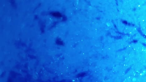 deep blue ocean color with swirling glitter and bubbles flickering and giving light pulses as they move, great calming background