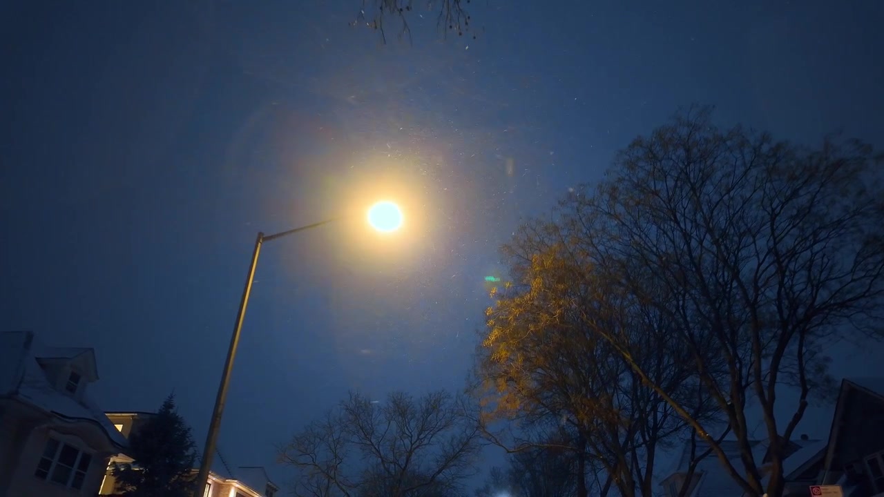 Farola brillando a través de árboles invernales desnudos en Brooklyn por la noche. La vista residencial hacia arriba muestra una lámpara ámbar, cielo azul oscuro y ramas silueteadas sobre las casas durante una ligera nevada.