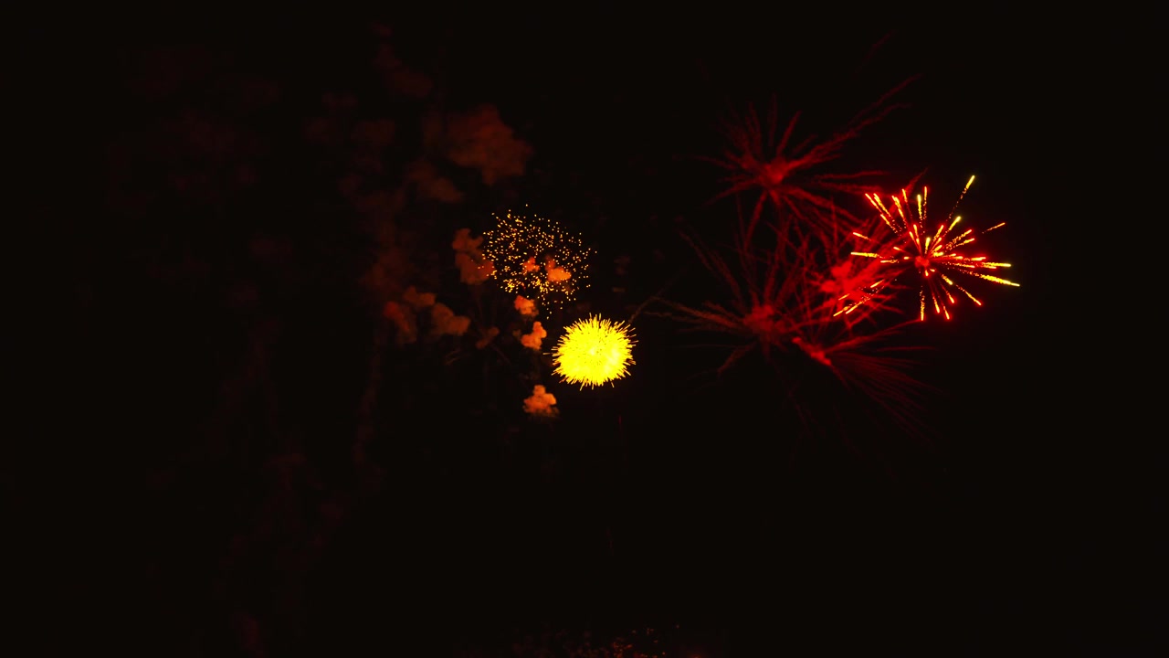 Vibrant Fireworks Display Lighting Up the Night Sky