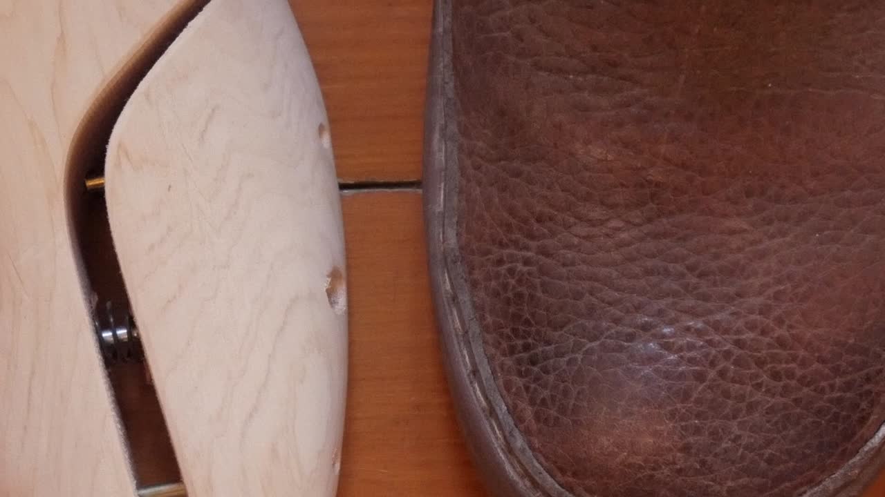 Close-up of shoe polish items with a shoe tree and leather shoe