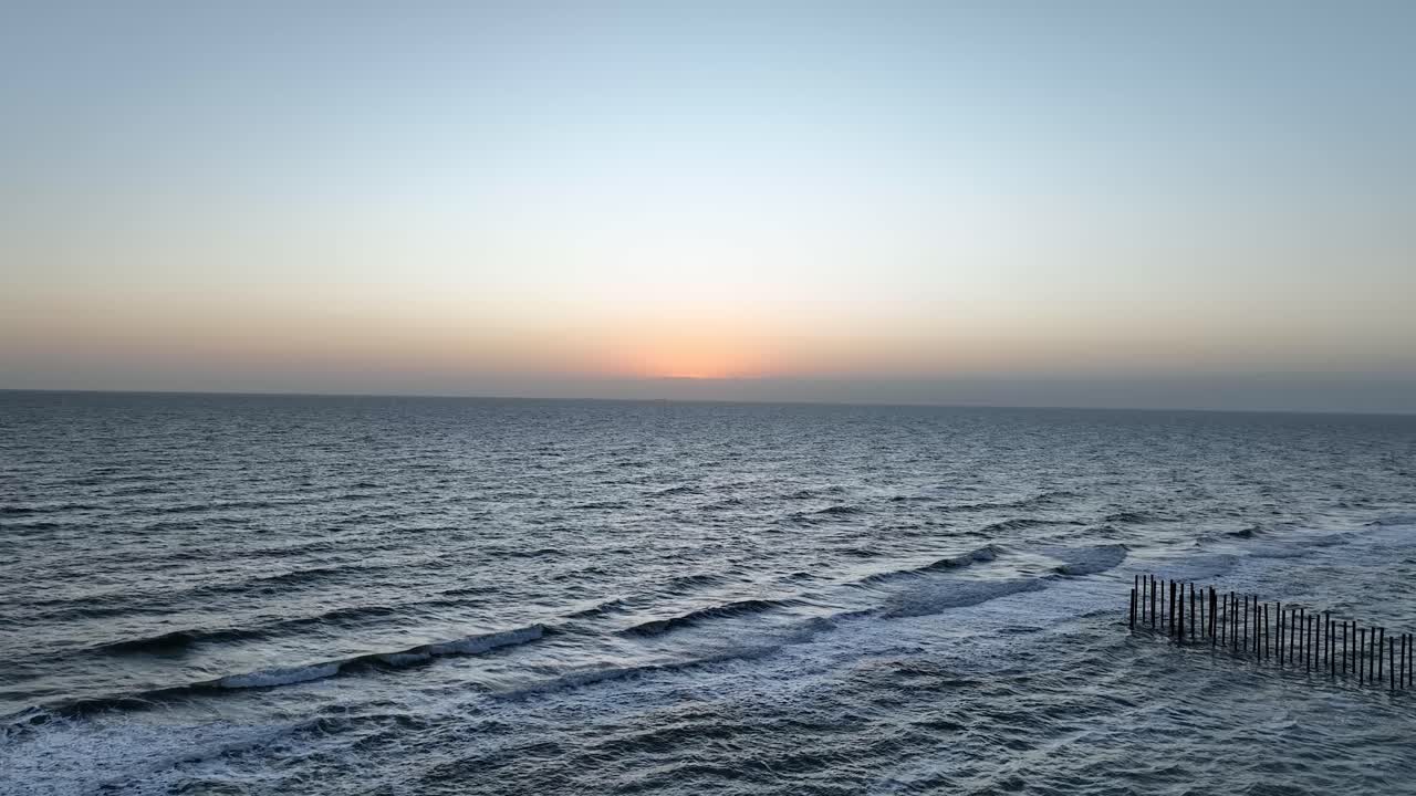 Vista aerea di droni di uccelli che volano sull'acqua della costa del golfo durante la mattinata