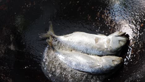 2 fishes, short mackerels, slides into the boiling cooking pan