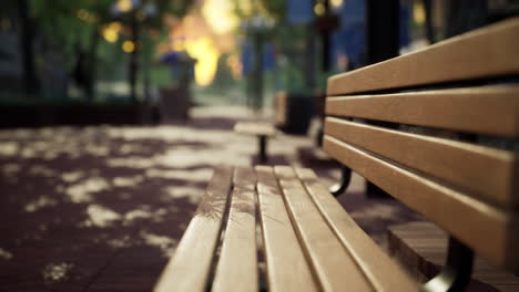 quiet city park with trees and benches