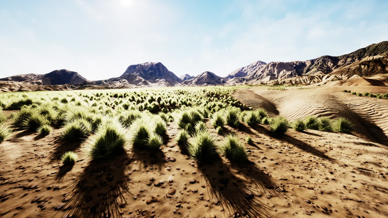 오스트레일리아 의 외 ⁇  에 있는 스토니 사막