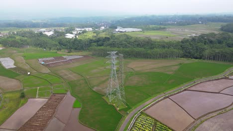 Disparo-De-Un-Dron-En-órbita-De-Una-Torre-De-Electricidad-De-Alto-Voltaje-En-Medio-De-Un-Campo-De-Arroz