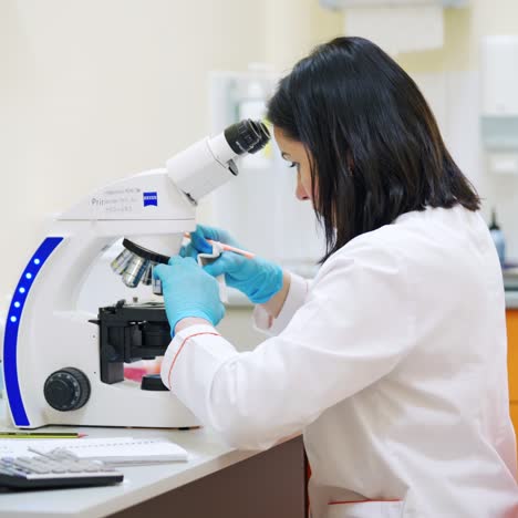medical chemical laboratory