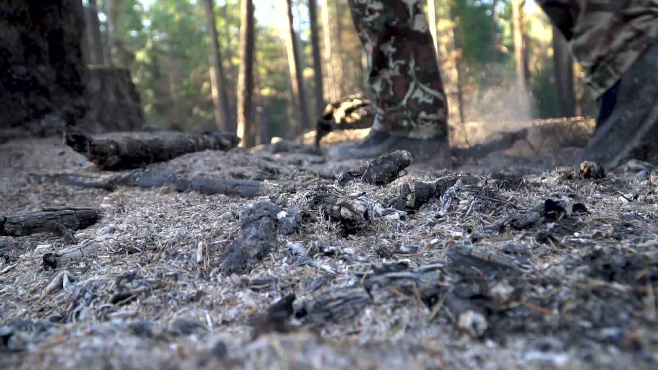 alejándose a través de la ceniza de una flor silvestre reciente