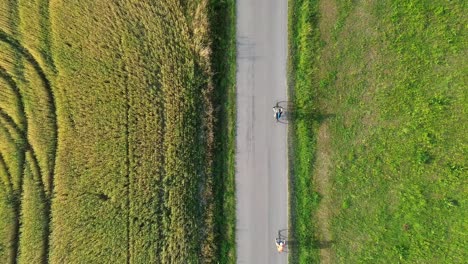 Dos-Ciclistas-Circulando-Por-La-Carretera-En-La-Avenida-De-árboles.