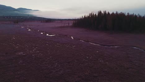 misty bog landscape with stream and forest