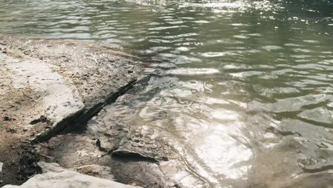 Schimmerndes-Sonnenlicht-Auf-Einem-Teich