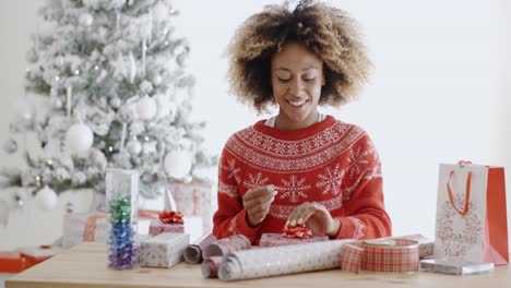 Glückliche-Junge-Afrikanische-Frau-Geschenke-Einpacken