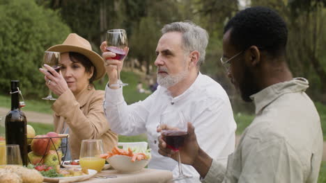 group of middle aged friends drinking red wine while sitting at table during an outdoor party in the park