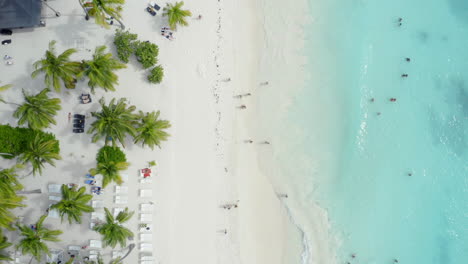 Gente-En-La-Playa-Tropical-De-Palmeras-De-Arena-Blanca-Con-Mar-Azul,-Isla-Saona