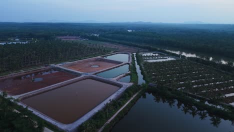 aerial view of fish ponds and coconut plantation