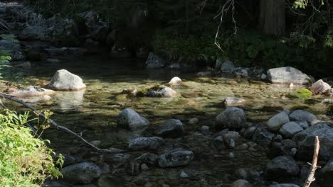 Schöner,-Entspannender-Gebirgsbach-Taucht-Aus-Dem-Hintergrund-In-Der-Hohen-Tatra-Auf