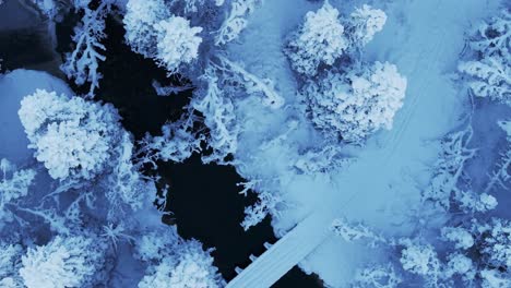 above view of frigid weather over frozen river and forest during winter in norway