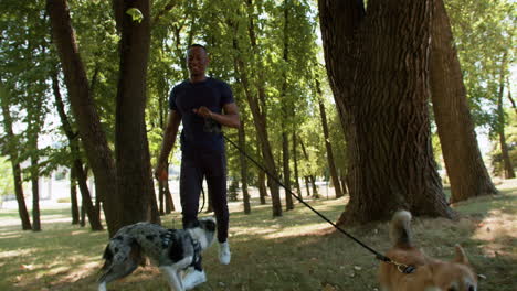 young man with pets at the park