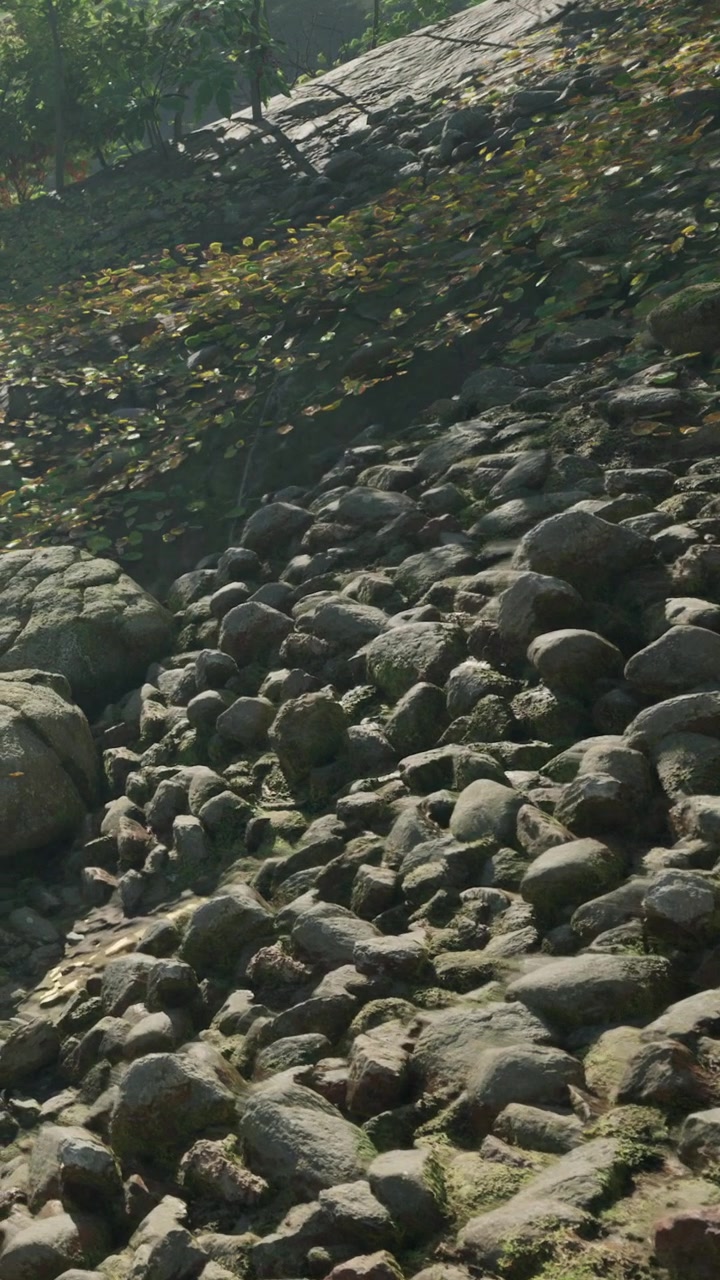 Terreno roccioso coperto di pietre in un'area naturale durante il giorno.