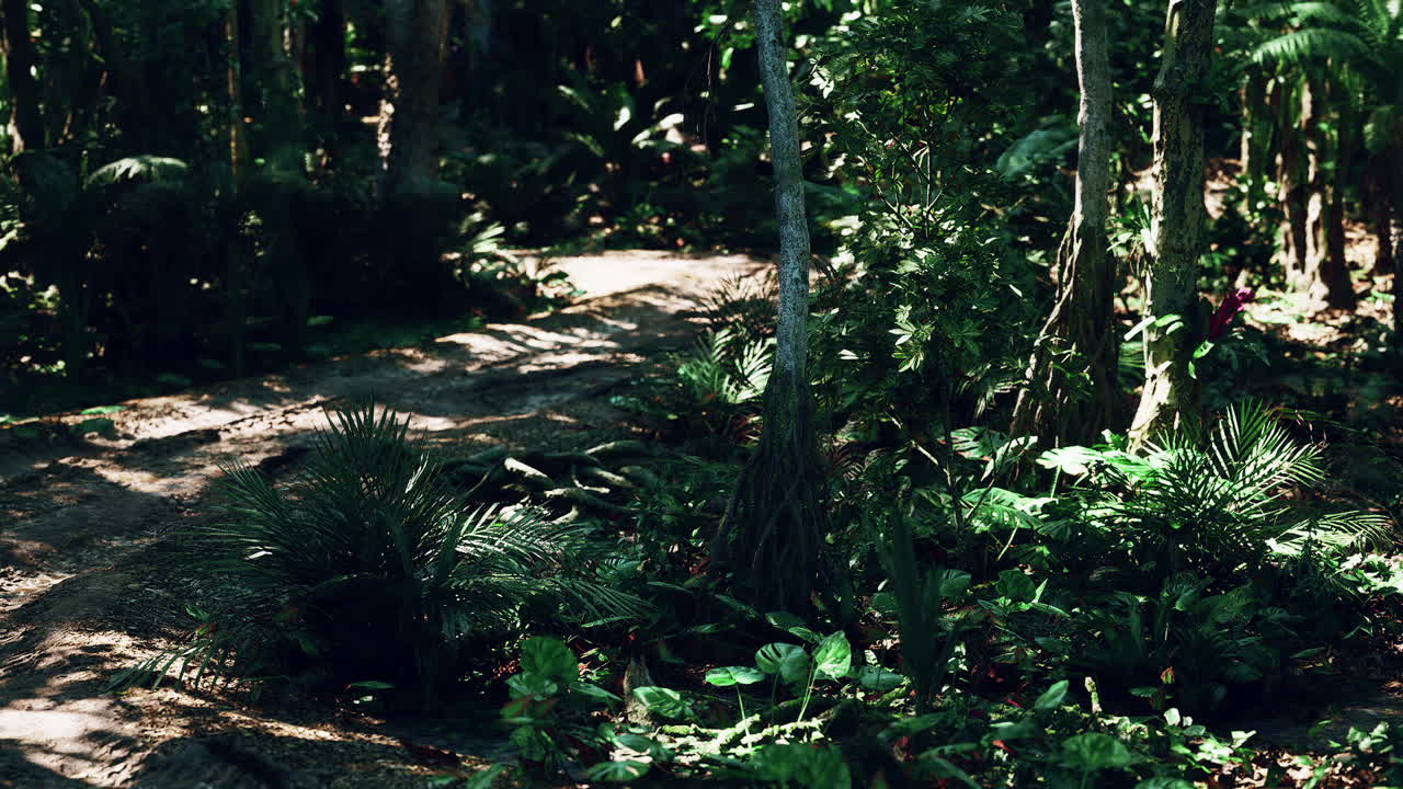 Dense jungle landscape in argentina highlighting lush greenery and tranquility