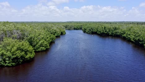 drone flight over mangroves in wetlands area, san pedro de macoris