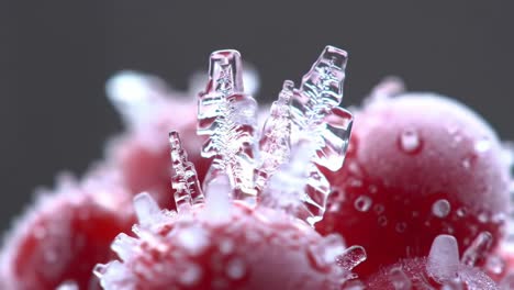 frozen berries with ice crystals