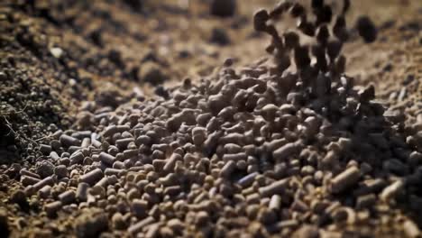 dynamic close-up of falling pellets demonstrating material flow and texture in a granular substance environment, captured with high-detail focus