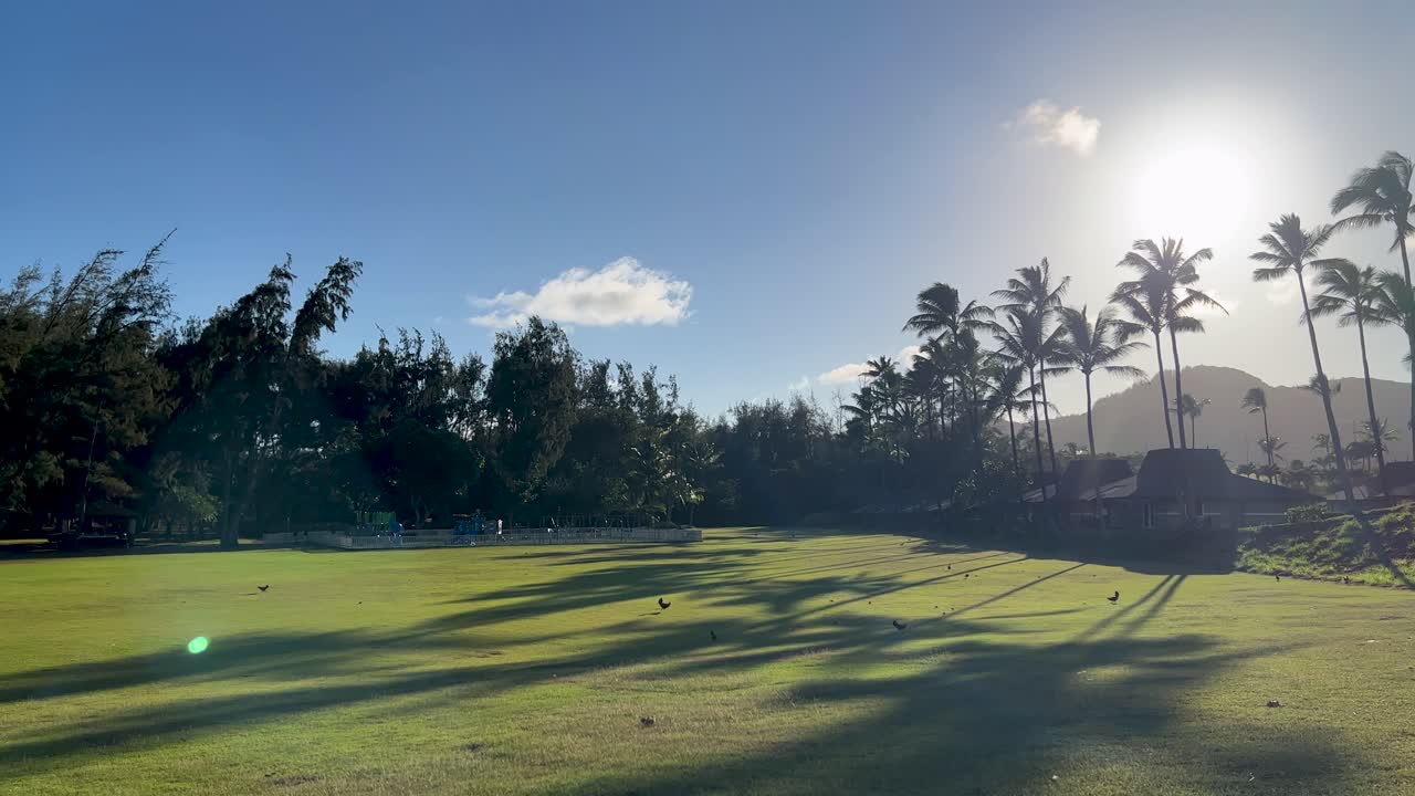 멀리 닭이 있는 들판