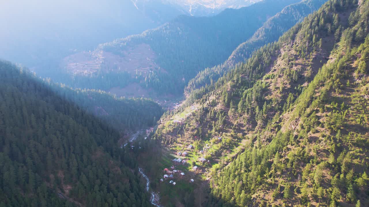 Denso bosque de cedros con montaña y cielo al fondo en toma de dron de valle - destellos de sol.