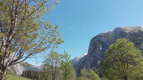 阿爾姆 - 奧地利夏季徒步旅行,以草山和雪為特色,有空中射擊,並以4k 30fps的地面水平