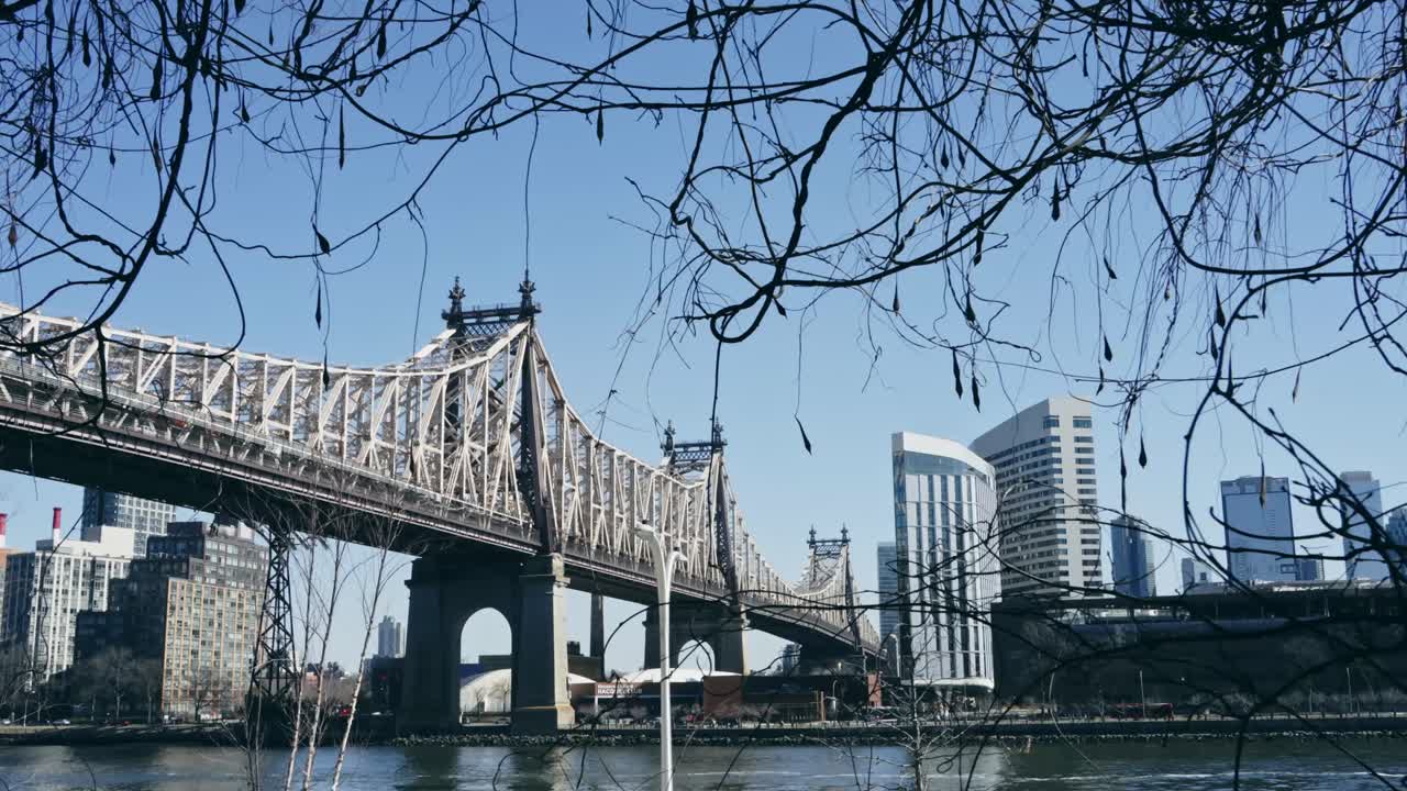 A scenic view of the Queensboro Bridge framed by tree branches, with Manhattan’s modern skyline rising above the East River