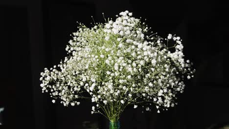 gypsophila graceful on table, white flowers close-up with a blurred background at home. natural background for design or as texture. summer plants.