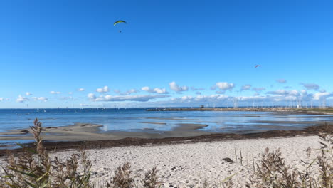 motorized hang gliders on the beach