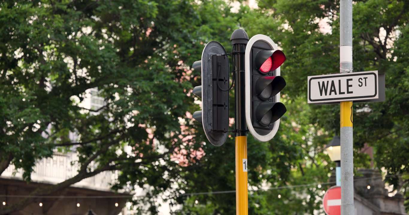 Peatones diversos cruzando, semáforo cambiando de rojo a verde en WALE ST, permitiendo el paso de una furgoneta blanca