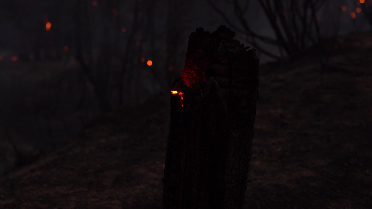 fire burning inside wood at wildfire