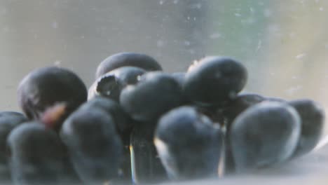 close up of blueberries spinning around in glass bowl in slow motion. freshly washed and ready to eat nutritious fruit high in fibre and magnesium. healthy eating food