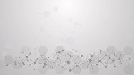 geometric gray background with hexagonal shapes and molecular mesh. connected lines and dots. looped animation. copy space.