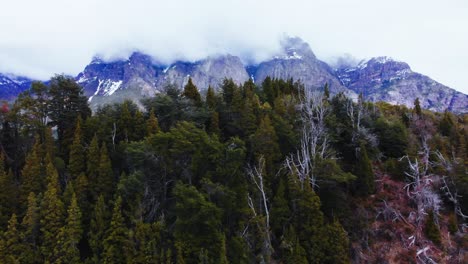 a leisurely and gradual aerial journey, with the camera ascending to unveil mountains luxuriously dressed in thick forests, their vivid green blending harmoniously with the serene lake