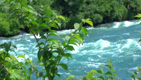 primer plano de los rápidos de niagara