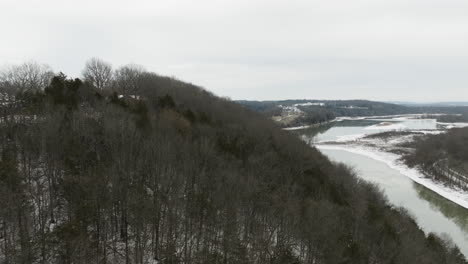 winter tree forest with shallow river near neills bluff in washington county, arkansas, united states