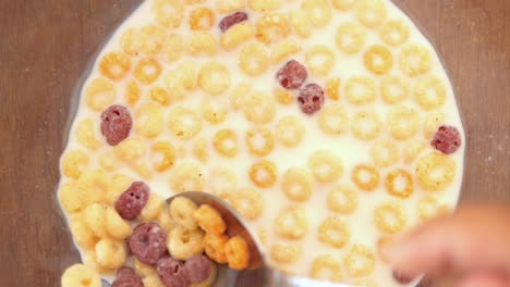 cuenco de cereales con leche y bayas