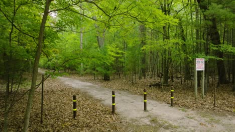 angle view of a hiking trail entrance, camera motion away from the subject