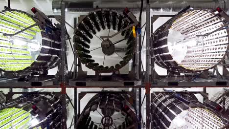 slow panning shot showing a large-scale indoor circular vertical vegetable farm